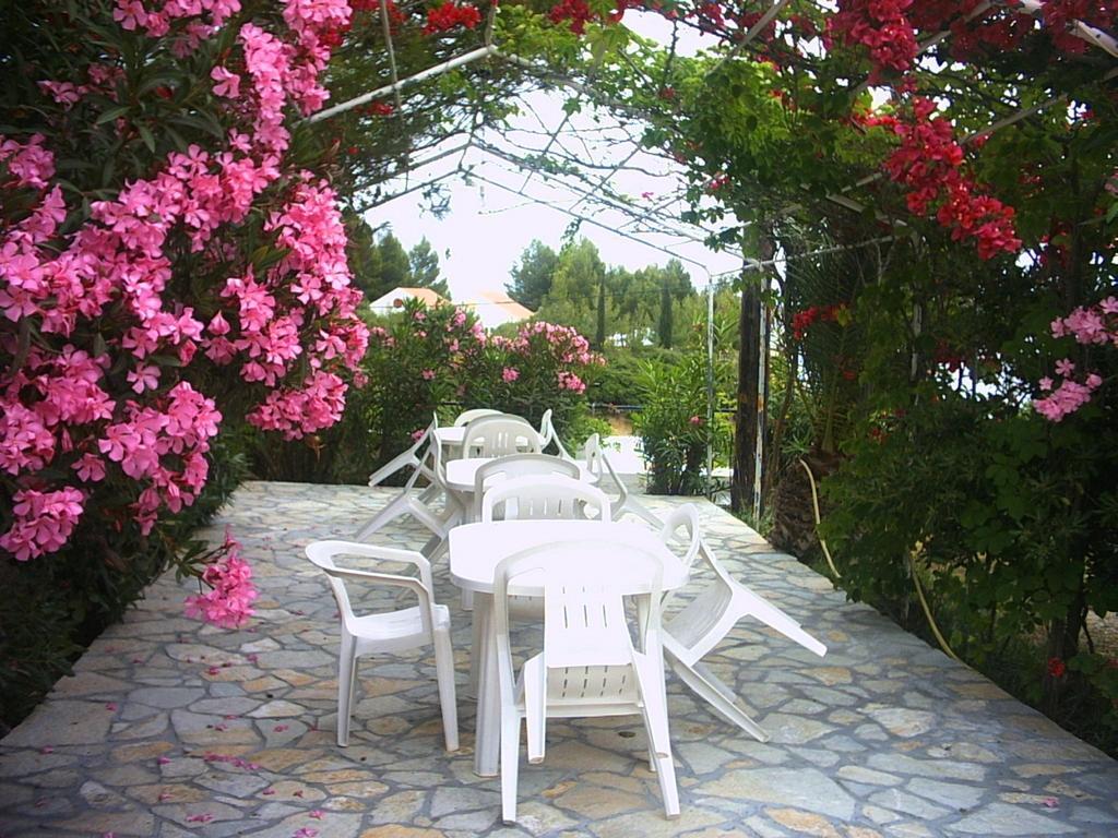 Apartmán Polymnia Spartia (Kefalonia)